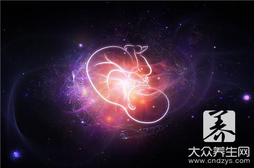  猫胎盘的功效与作用怎么吃