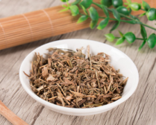 肾经草的功效 肾经草的2大功效和
