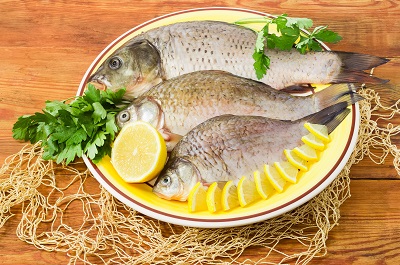 鲤鱼