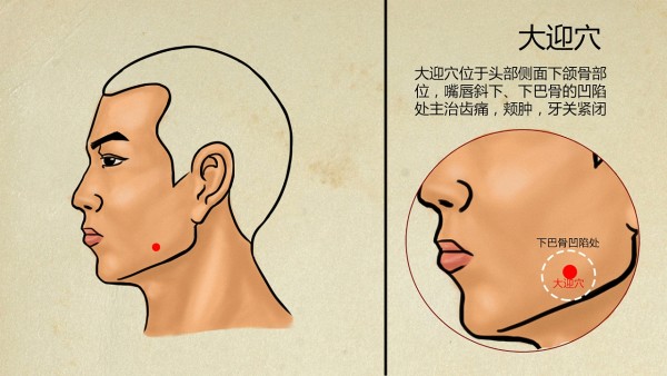 荆防颗粒溯源方——荆防败毒散纳