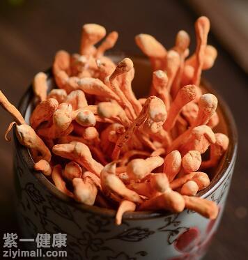 阳痿遗精吃蛹虫草有用吗 揭秘蛹
