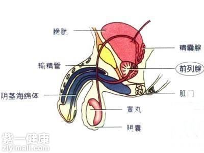 男人一般几分钟射 推荐治疗早泄的方法