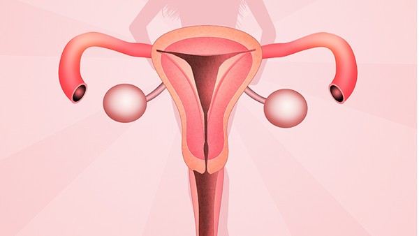 子宫肌瘤吃中药要注意什么 子宫