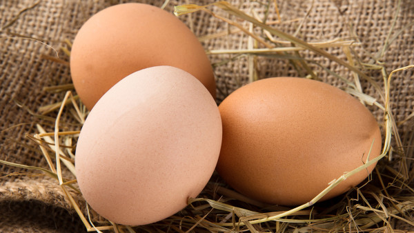 每天吃一个鸡蛋会怎么样