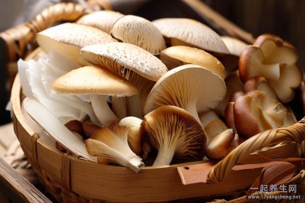 减肥食谱中午 什么是减肥食谱