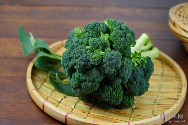 介绍哥本哈根减肥食谱 哥本哈根