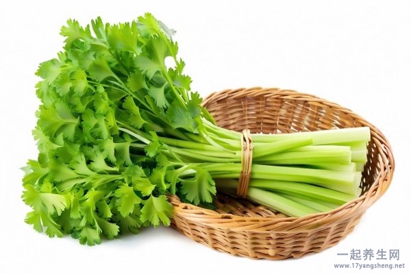 减肥蔬菜食谱 减肥蔬菜食谱有哪