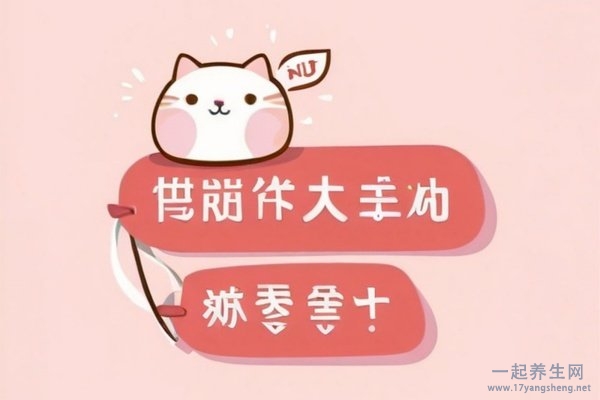 减肥训练营减肥食谱 减肥营养食