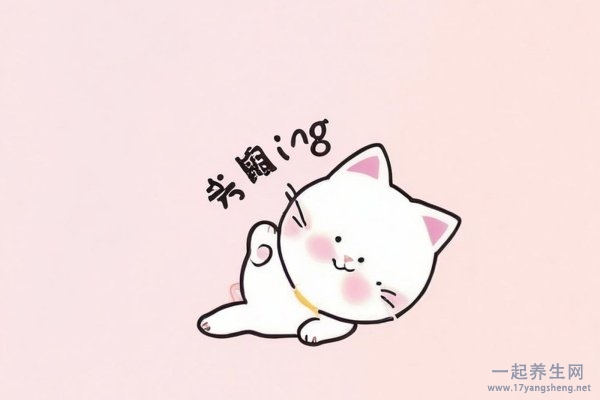 减肥的食谱有哪些 什么是减肥的