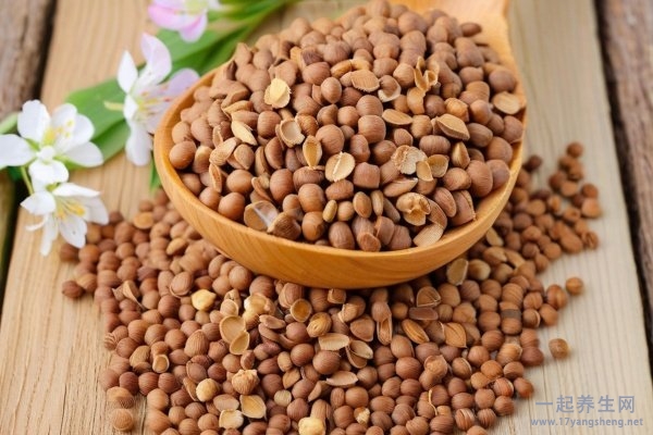 减肥食谱金字塔 食物热量表金字塔