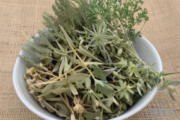 茵陈泡水一天喝几次 茵陈泡水喝