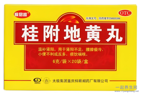 桂附地黄丸和五子衍宗丸能一起吃吗 桂附地黄丸的功效