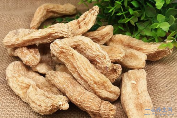 干天麻怎么泡软 干天麻泡软的方