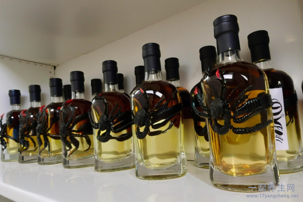 虎头蜂泡酒有什么功效 虎头蜂泡