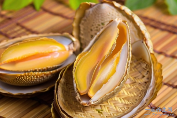 鲍鱼的功效与作用及营养 鲍鱼的食用价值